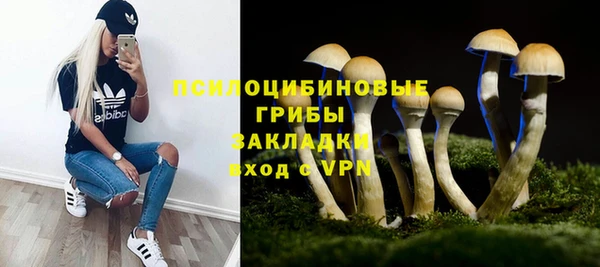 ALPHA PVP Армянск