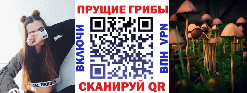 цена   Полысаево  OMG вход  Галлюциногенные грибы GOLDEN TEACHER 