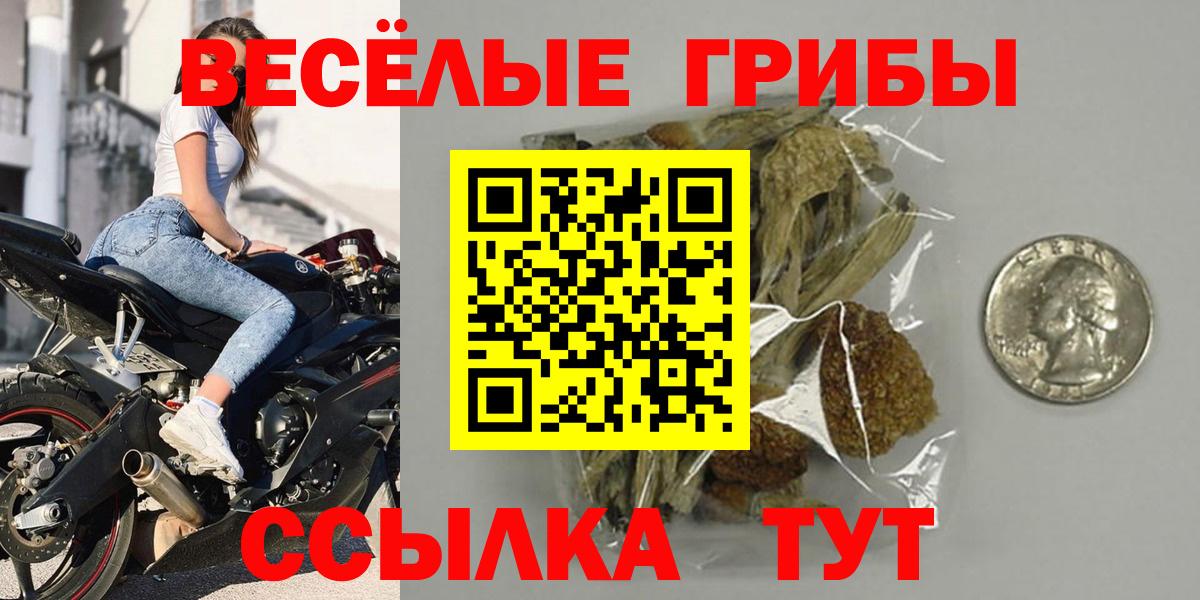 Псилоцибиновые грибы Psilocybine cubensis Полысаево